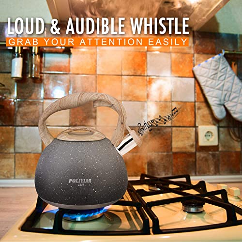 Poliviar Tea Kettle with Natural Stone Finish Poliviar Tea Kettle with Natural Stone Finish